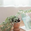 생활을더담다 이미지