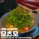 모츠모 | 세종 도담동 이자카야 모츠모 후쿠오카식 모츠나베, 낙곱새 맛집 후기