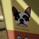 펫앤스토리 이미지