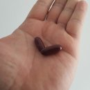 아임메디 이미지