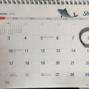 보광약업사 이미지