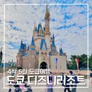 도쿄 디즈니랜드 디즈니씨 총정리 티켓 구매, 혼잡도, 어플 활용법(DPA 구매, 엔트리 접수 등)