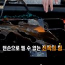 완도참전복 이미지