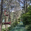 이마트24 광주동곡점 | [무등산 모노레일] | 지산유원지 등산 없이 광주 전경 즐기기 ✨