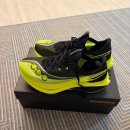 엔돌핀 | 써코니 엔돌핀 프로5 구매 후기 | 입문용 카본화, 안정성을 높인 카본화 추천 !!