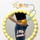 세인트여성의원 | [공지] 임신 17주차 배크기와 증상! 서브병원 초음파 검사까지♡