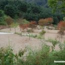 산야초 자연 캠핑장 이미지