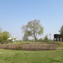 노을을 사랑하는 의 이미지