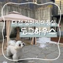 애견미용카페 보름별 | 대전 문화동 애견미용 대형CCTV와 야외운동장 ‘도그하우스’ 내돈내산