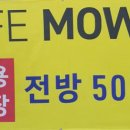 모월농장 네이버블로그