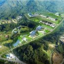 인산죽염주식회사 - 15413 | 인산죽염주식회사