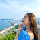 조이투어 이미지