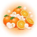 JW메디 | 비타민C 메가도스 효과 · 부작용 · 방법 총정리 | 하루 2000~3000mg 복용 방법