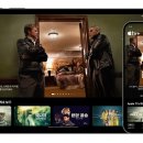 애플스포츠센타 이미지