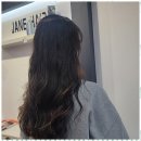 스타일제인 이미지