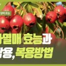 산사나무한의원 이미지