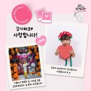 오즈태권도2관 이미지