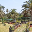 한림공원 이미지