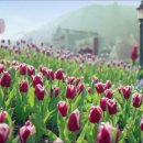 아이케어 안경 이미지