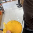 제미니마켓 이미지