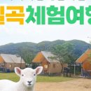 덕산수목원