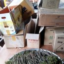 음지농장 이미지