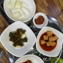 대박집염소탕 | [충북/증평] 맛있는 대박집염소탕 염소탕특