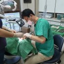 프라임치과기공소 이미지