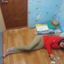 다복민박 이미지