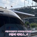 아론PC방 마들점 | 9월 일상 아가가 세상을 사람을 구한다