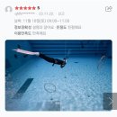 (주)펫츠아일랜드 고현점 | 성남 프리다이빙 체험 후기｜처음 도전한 프리다이빙, 이런 느낌이었어요! 가격, 준비물, 추천 장소 총정리