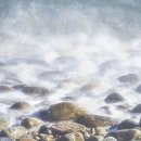 특별한 날의 요리 이미지