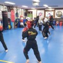 합기도 강인 체육관 이미지