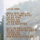 새싹존크린센터 이미지