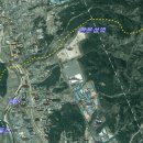 호미대왕 110KM(고사한 소나무들) 이미지