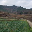남해텃밭