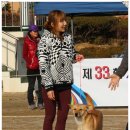 비상초등학교 이미지