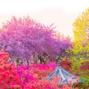 (주)전주시그니처 이미지