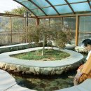 일동제일유황온천 이미지