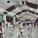 국가대표 경희대 키즈 태권도 | [신봉태권도 합동훈련] 경희대 신봉태권도 &amp; 국가대표 경희대 안화태권도 합동훈련 @2024.3