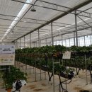 이봉수농장 이미지