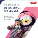 [트위터] 갤럭시S21 펭수x유재석 '유펭두잇' 최초 영상 공개 🐧 이미지