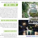 히든항공여행사