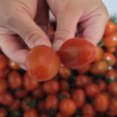 재섭농장 이미지