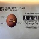 에그24 네이버블로그
