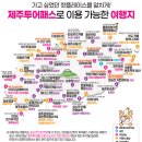 더제주투어