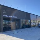 센티드SCENTED 이미지