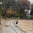 금모래 어린이집 놀이터 이미지