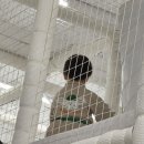 경주 무인키즈카페 추천 | 우리끼리 꿈꾸는 마을 경주용황점 이용후기