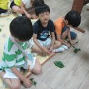 다샘 유치원 이미지